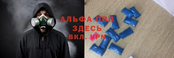 сатива Алексин