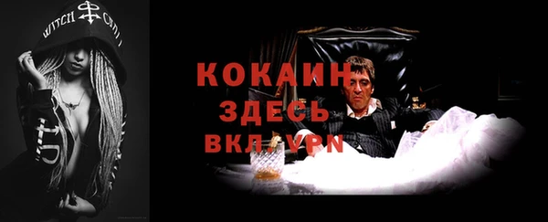 ALPHA PVP Осинники