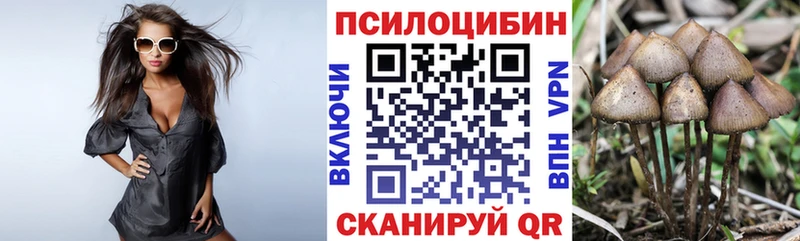 ссылка на мегу как зайти  Солигалич  Псилоцибиновые грибы Psilocybe 